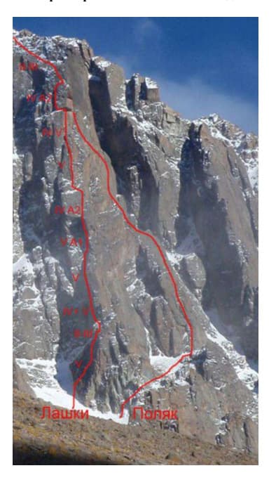 3_image_0.jpg