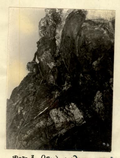 5_image_1.jpg