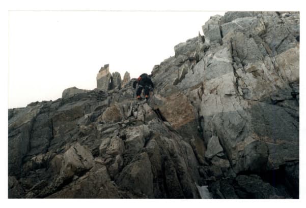 3_image_1.jpg