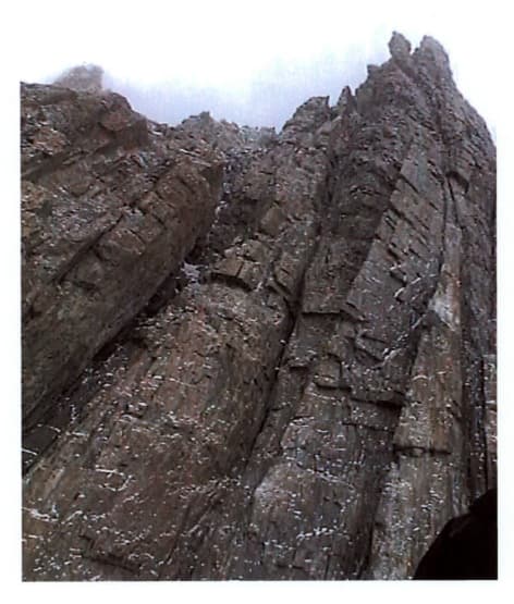 19_image_0.jpg