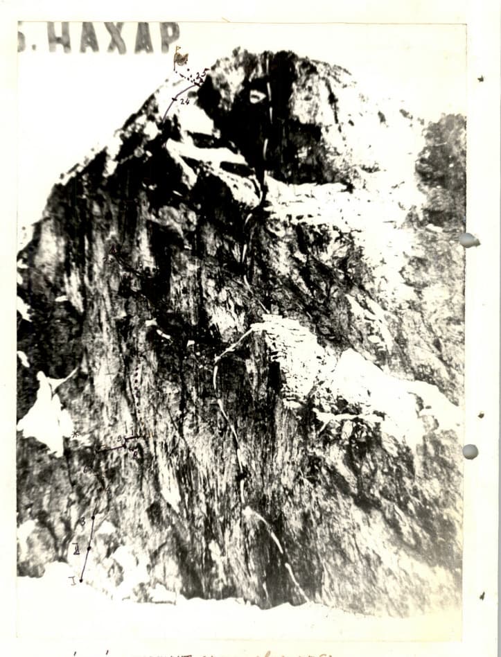 3_image_0.jpg