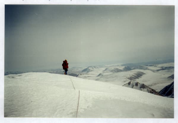 11_image_2.jpg