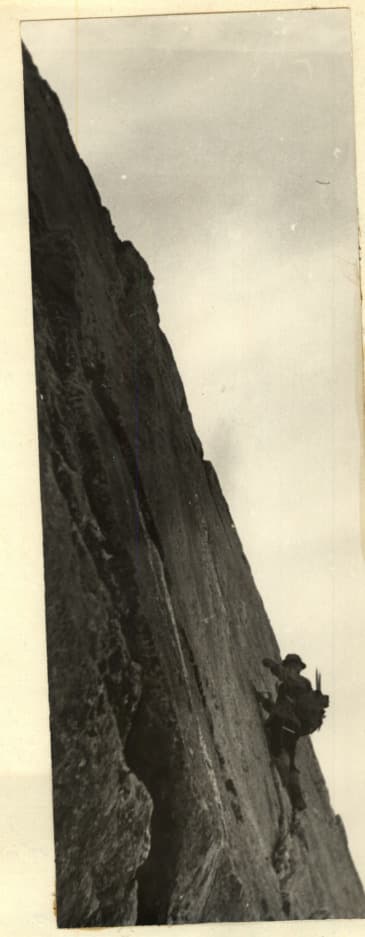7_image_0.jpg