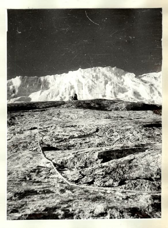 3_image_0.jpg