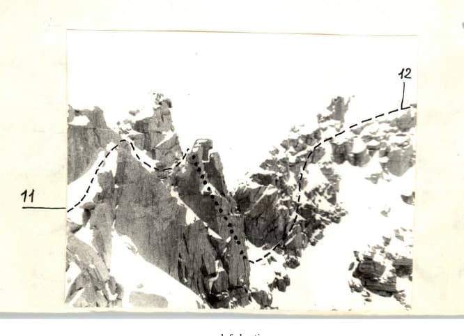 6_image_2.jpg