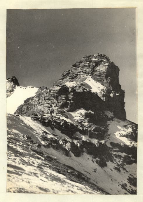 7_image_1.jpg