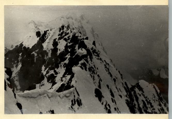 14_image_1.jpg