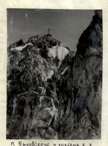 6_image_3.jpg