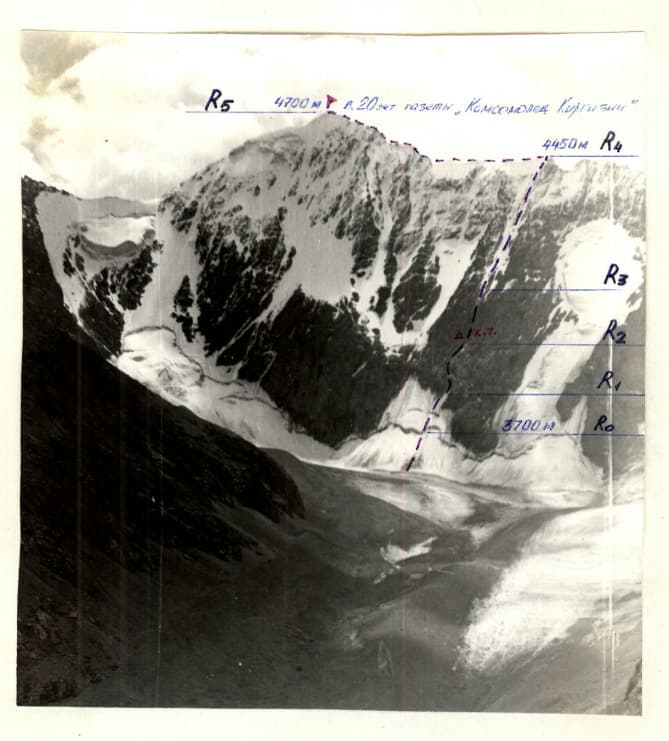 1_image_1.jpg