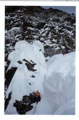 16_image_0.jpg