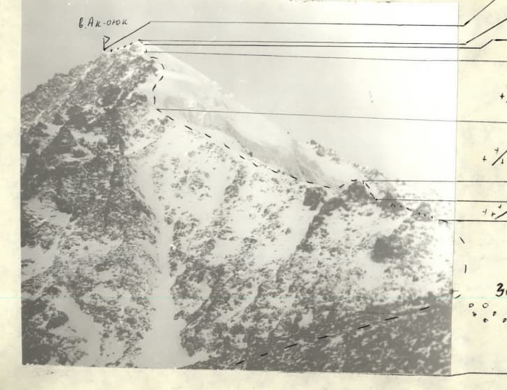 3_image_0.jpg