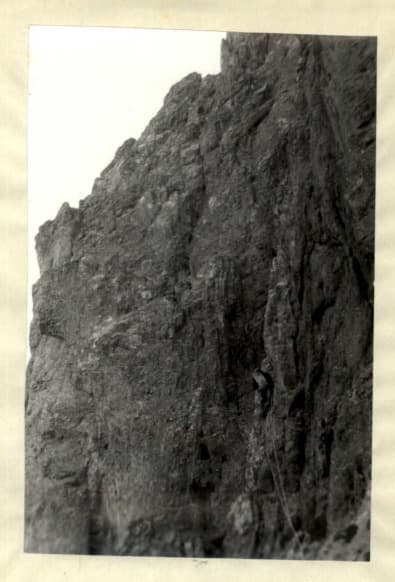 10_image_1.jpg