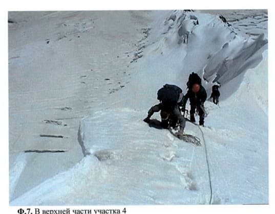 11_image_2.jpg