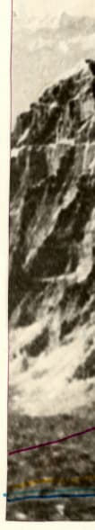 1_image_2.jpg