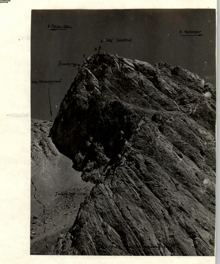 1_image_1.jpg