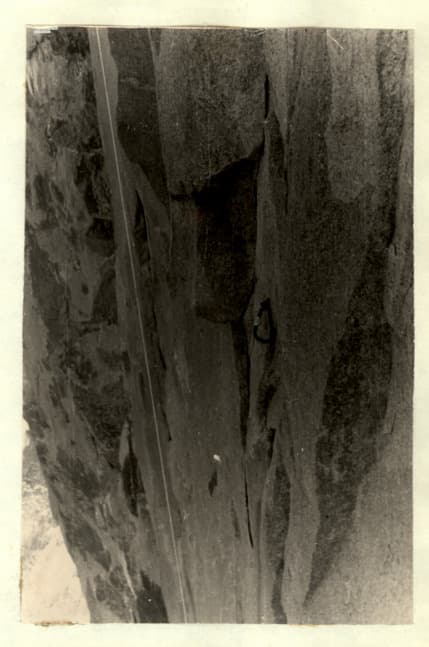 9_image_1.jpg