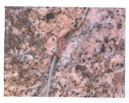10_image_2.jpg