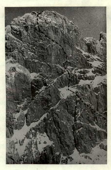4_image_1.jpg