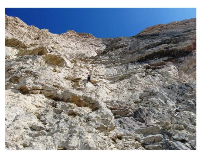 10_image_0.jpg