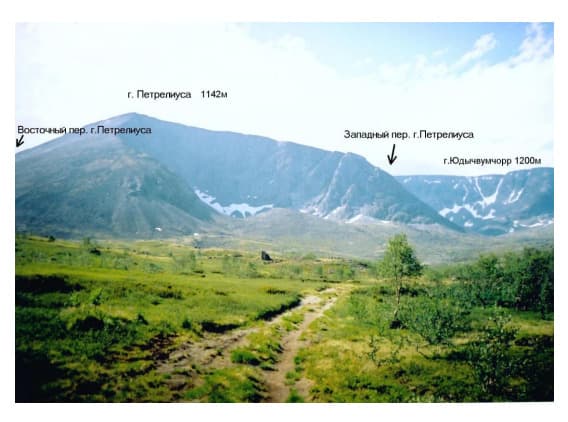 3_image_0.jpg