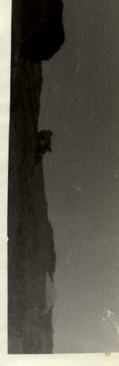 47_image_1.jpg