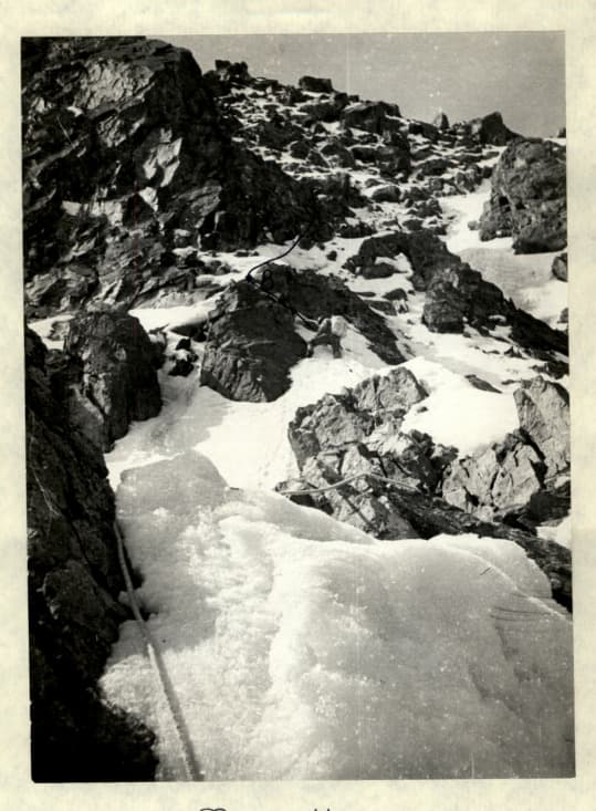 11_image_1.jpg