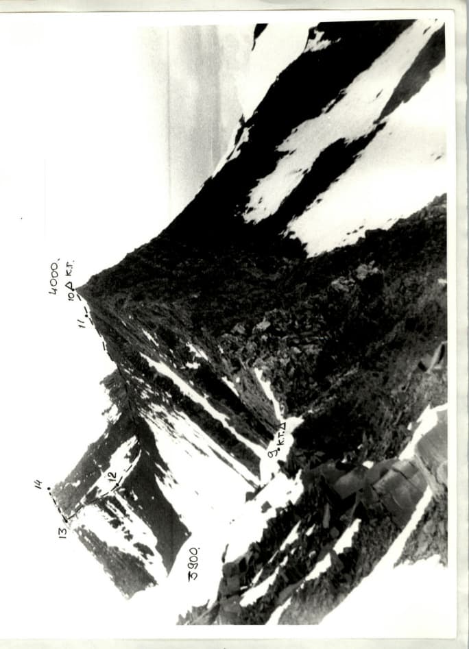 2_image_1.jpg