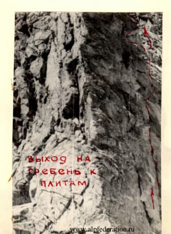 3_image_2.jpg