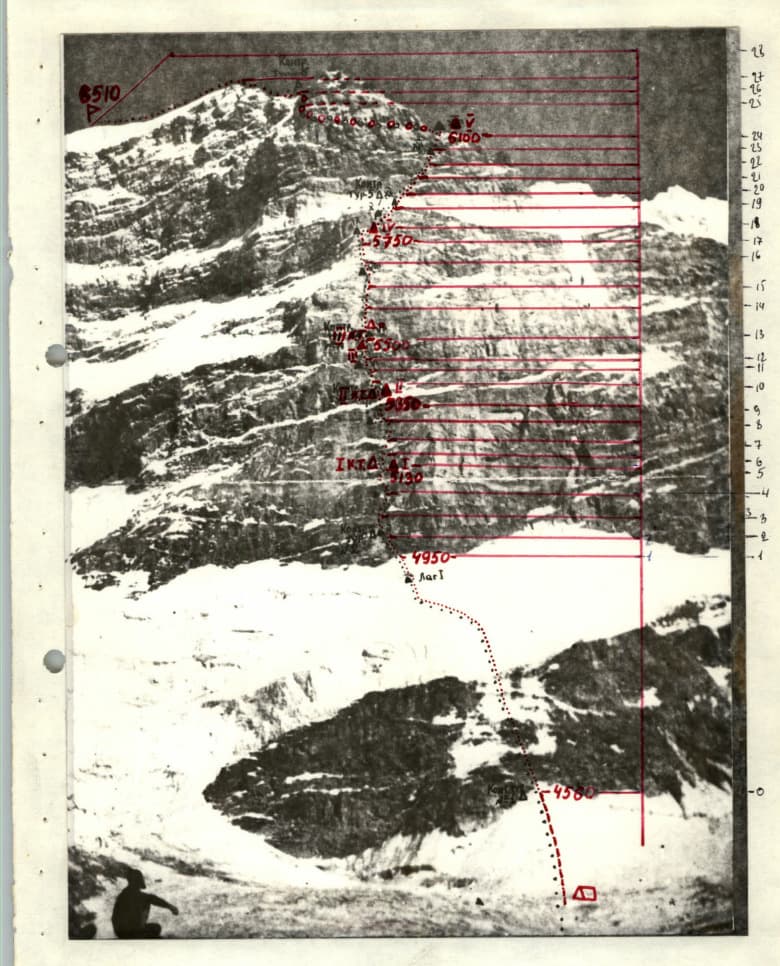 11_image_0.jpg