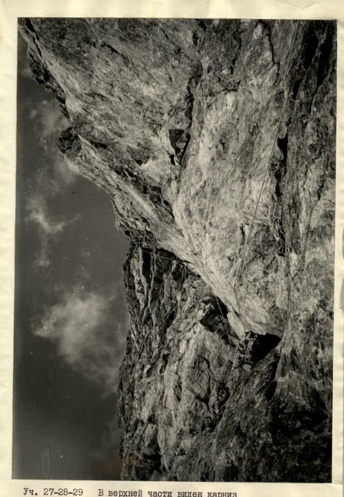 8_image_1.jpg