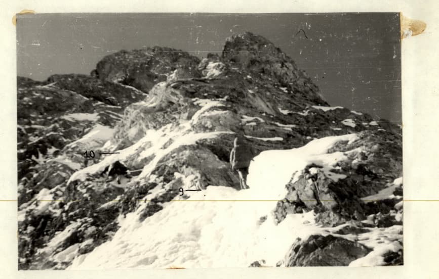 11_image_1.jpg