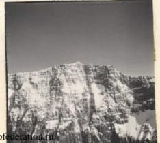 46_image_2.jpg