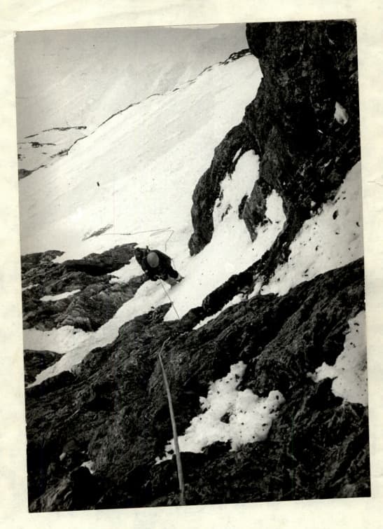 5_image_0.jpg