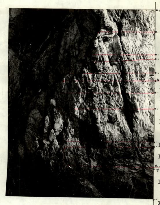 6_image_0.jpg