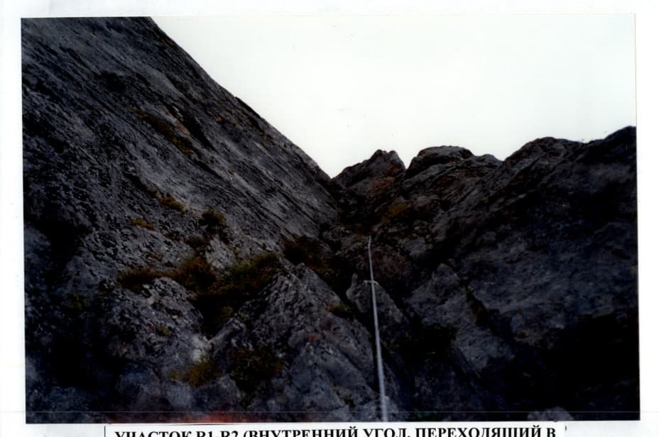 11_image_1.jpg