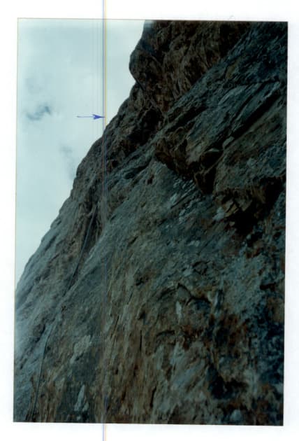 7_image_1.jpg