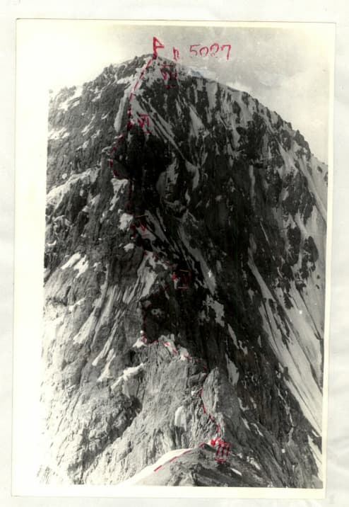 1_image_1.jpg