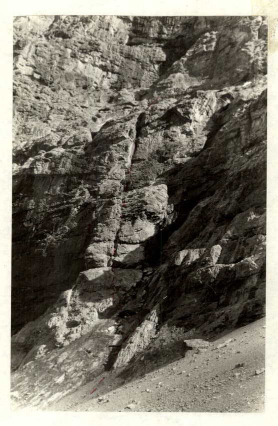 8_image_1.jpg