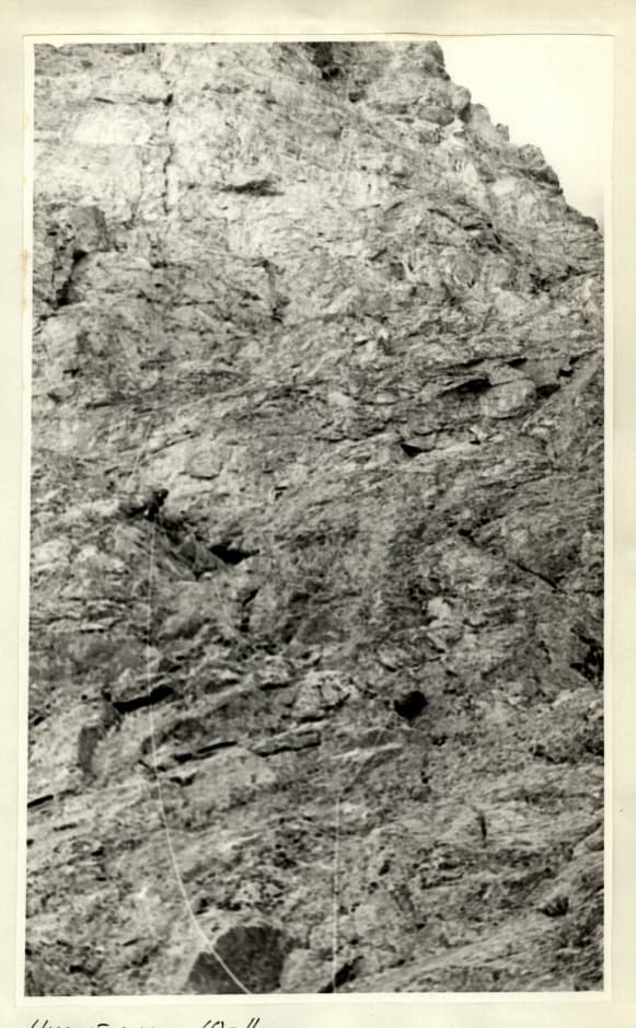 14_image_1.jpg