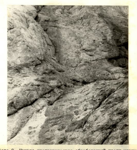6_image_0.jpg