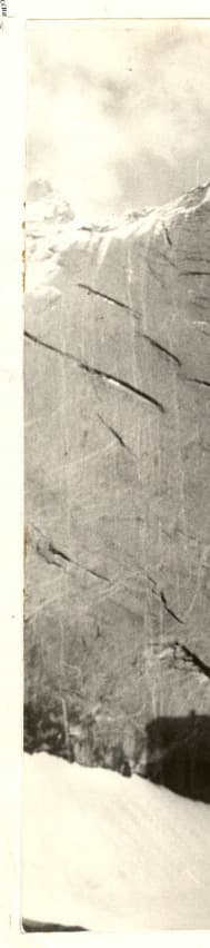 1_image_2.jpg