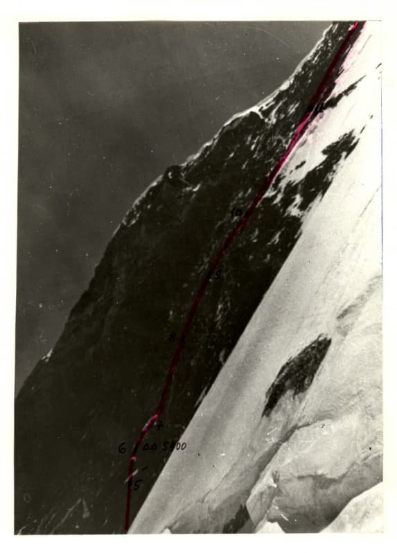 2_image_1.jpg