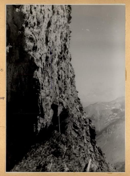 10_image_1.jpg