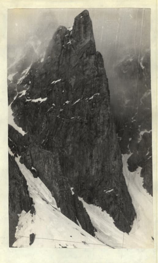 2_image_1.jpg