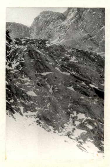 6_image_2.jpg