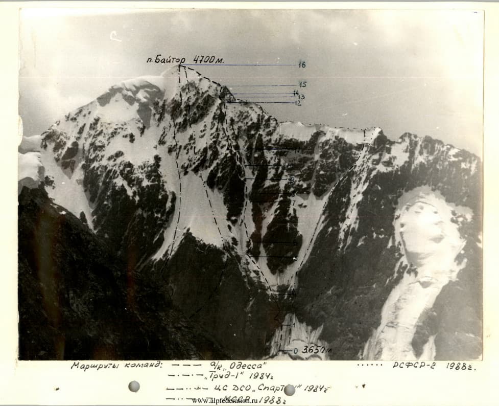 1_image_1.jpg