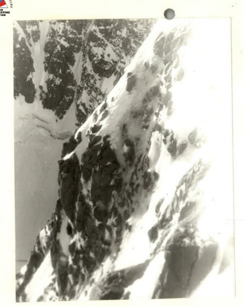 9_image_2.jpg