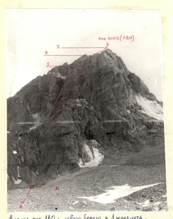 1_image_1.jpg