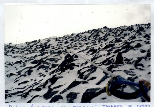 7_image_2.jpg