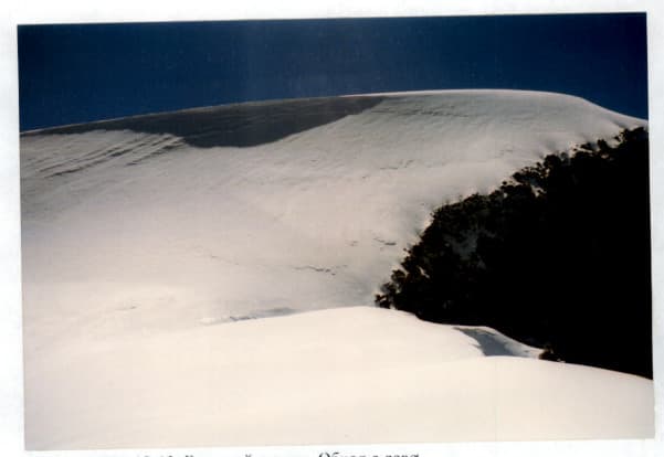 9_image_2.jpg
